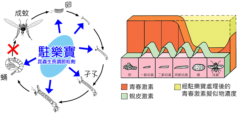 how sumilarv works